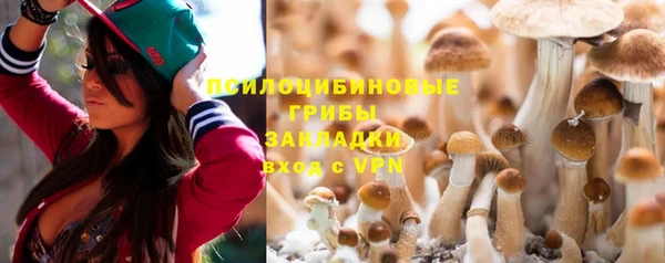 СК Бронницы