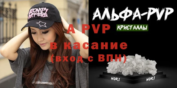 СК Бронницы