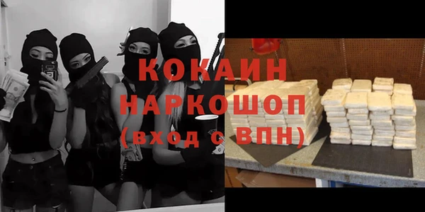 СК Бронницы