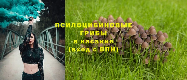 ECSTASY Бугульма