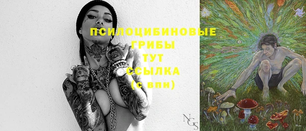 СК Бронницы