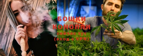 СК Бронницы