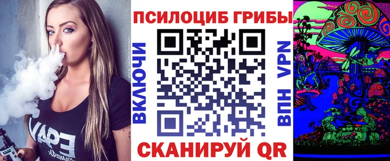наркота  ОМГ ОМГ ТОР  Псилоцибиновые грибы Cubensis  Южно-Сухокумск 